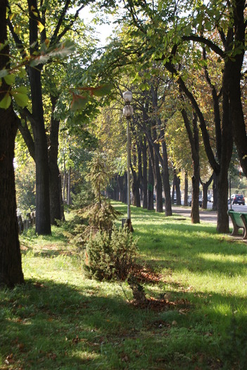 DSC00360 - Poze din diferite locuri din Romania