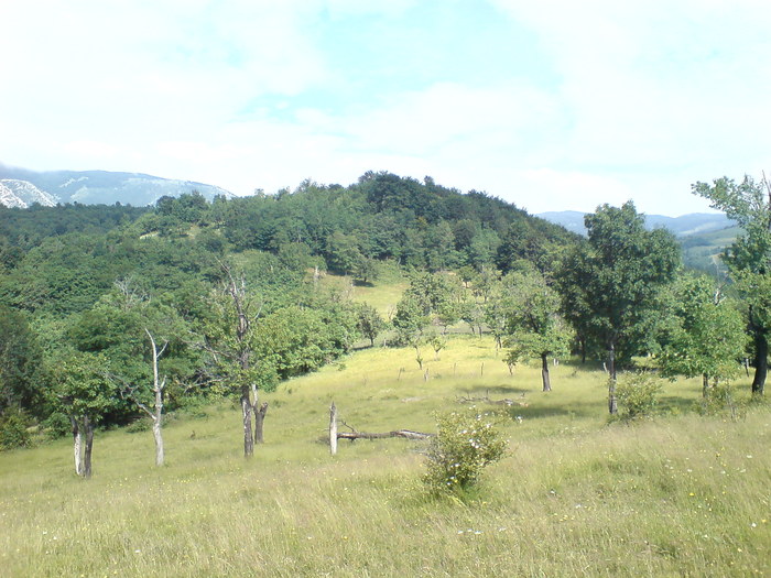 DSC00985 - Poze din diferite locuri din Romania