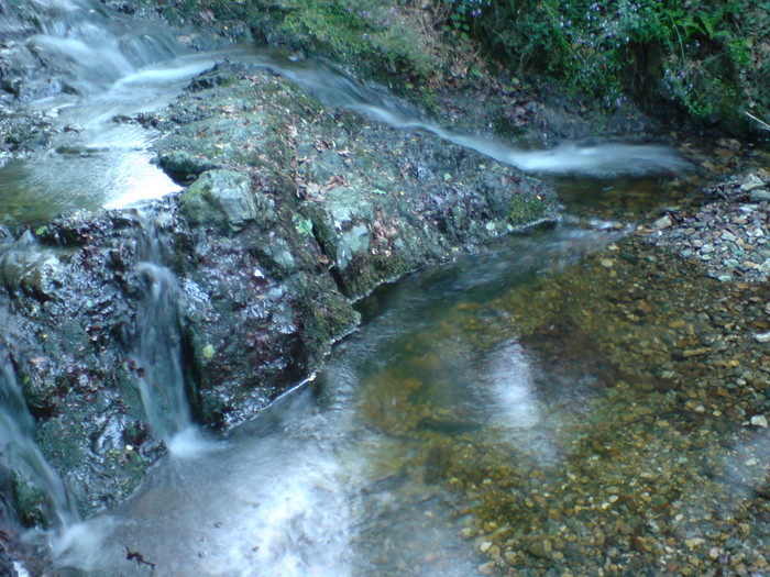 DSC01028 - Poze din diferite locuri din Romania