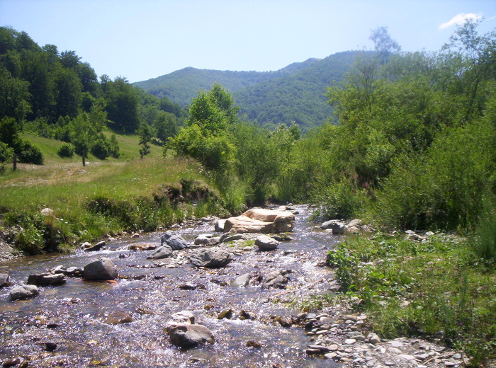 Poze q noi 2 (41) - Poze din diferite locuri din Romania