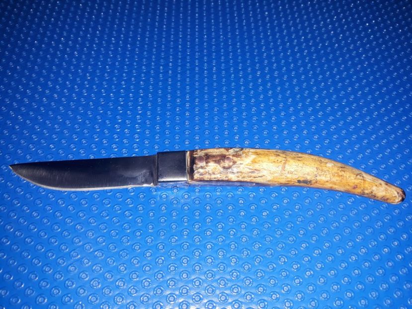  - Cutite pentru jupuit miei Martie 2019