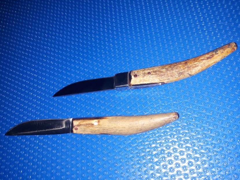  - Cutite pentru jupuit miei Martie 2019