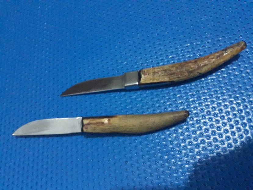  - Cutite pentru jupuit miei Martie 2019