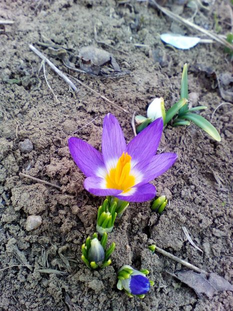  - curtea cu toate cele 2019