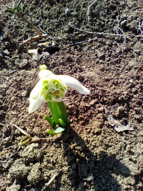  - curtea cu toate cele 2019