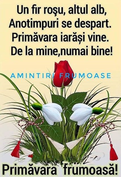  - 1 și 8 Martie