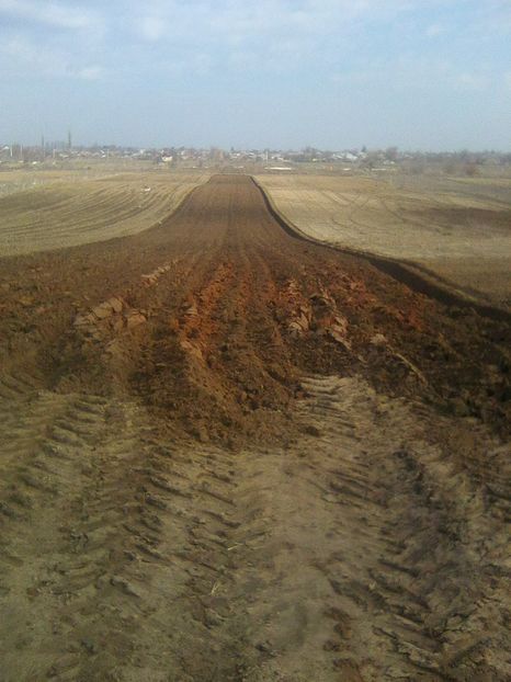 Photo1048 - legumicultura --ocupatia mea