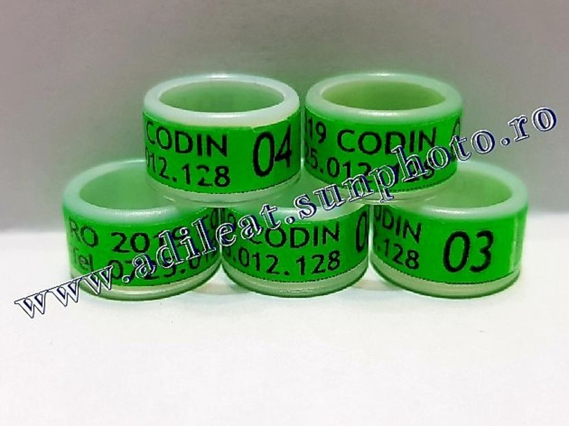  - 1-A-INELE PERSONALIZATE 2019