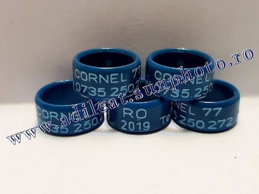  - 1-A-INELE PERSONALIZATE 2019