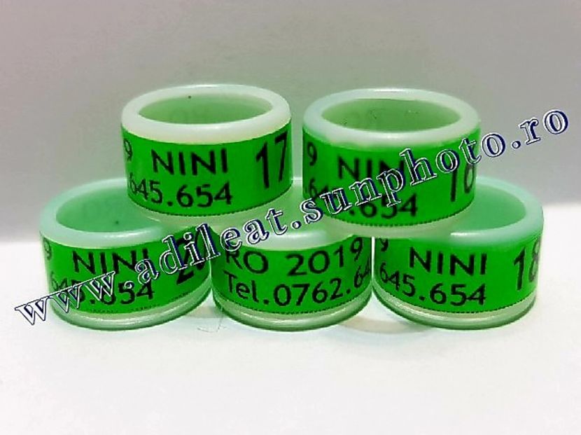  - 1-A-INELE PERSONALIZATE 2019