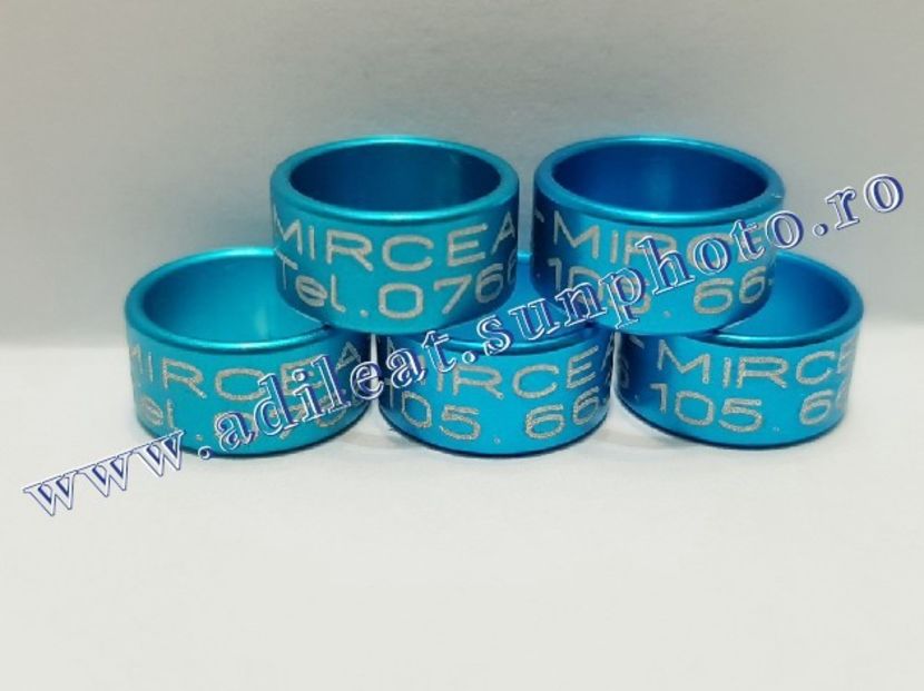  - 1-A-INELE PERSONALIZATE 2019