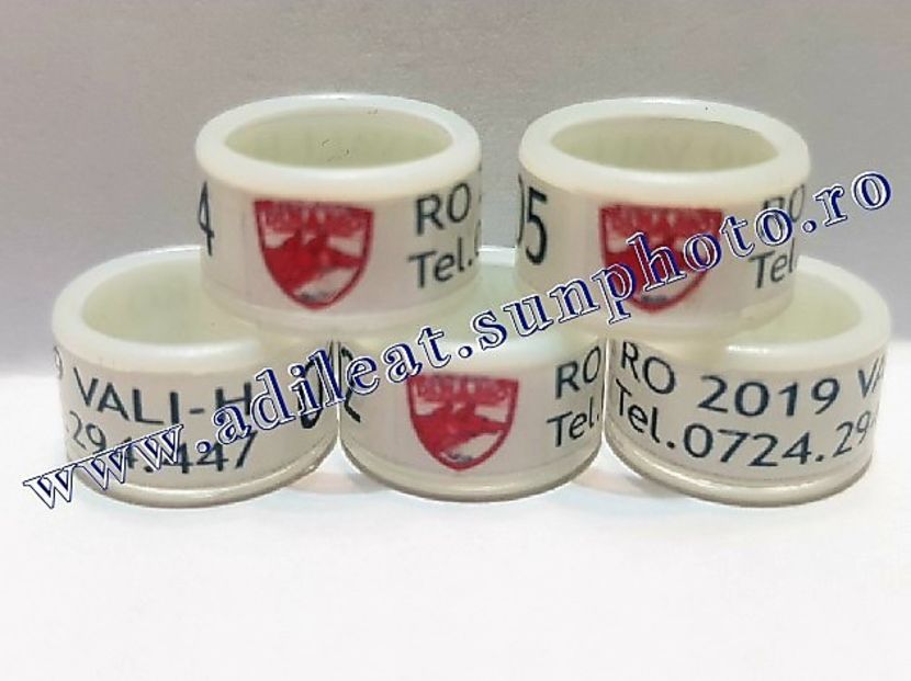  - 1-A-INELE PERSONALIZATE 2019