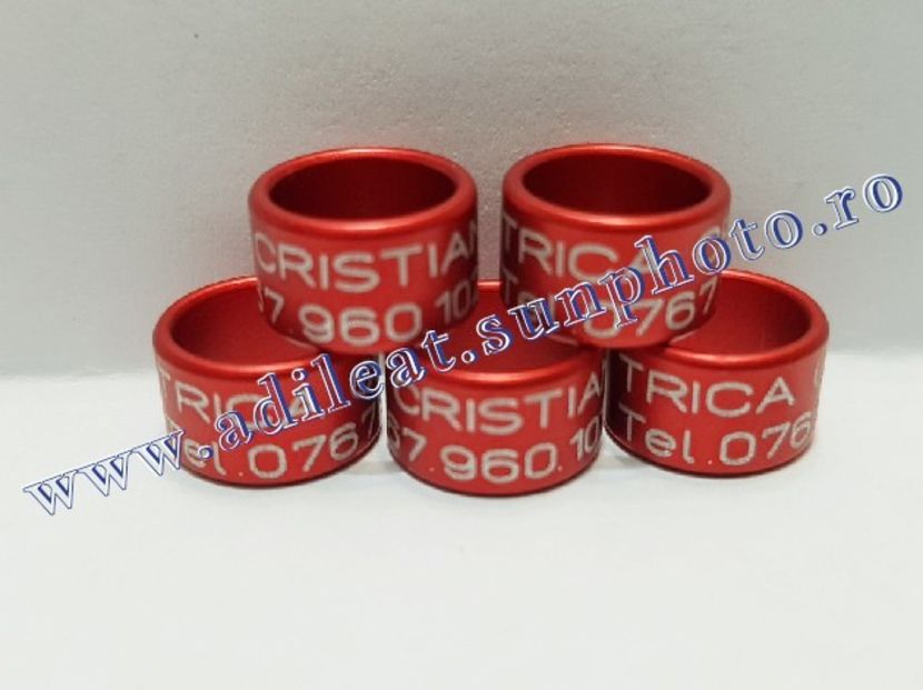  - 1-A-INELE PERSONALIZATE 2019