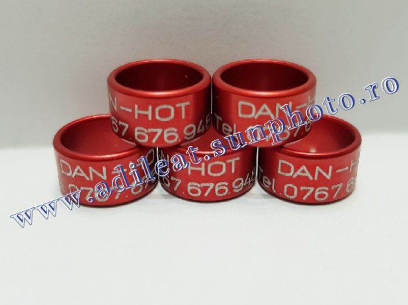  - 1-A-INELE PERSONALIZATE 2019