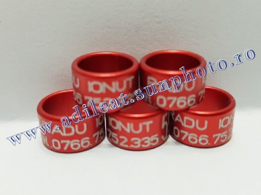  - 1-A-INELE PERSONALIZATE 2019