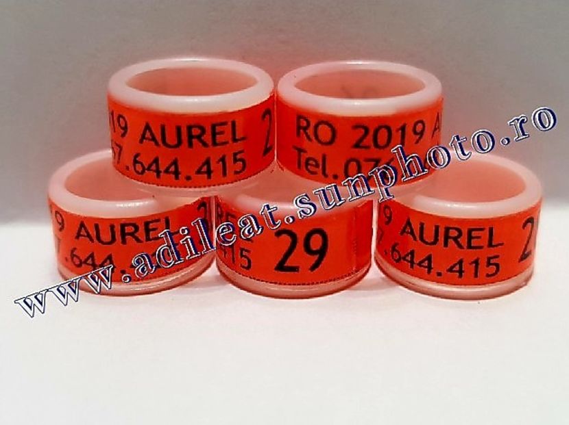  - 1-A-INELE PERSONALIZATE 2019