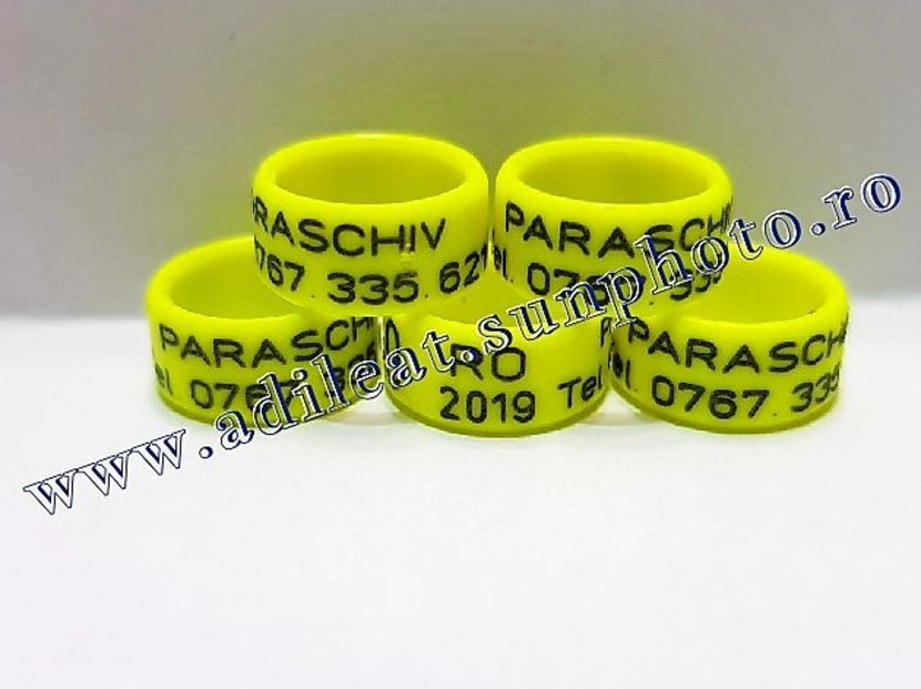  - 1-A-INELE PERSONALIZATE 2019