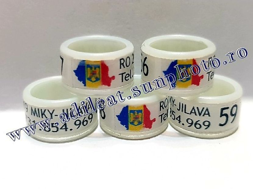  - 1-A-INELE PERSONALIZATE 2019