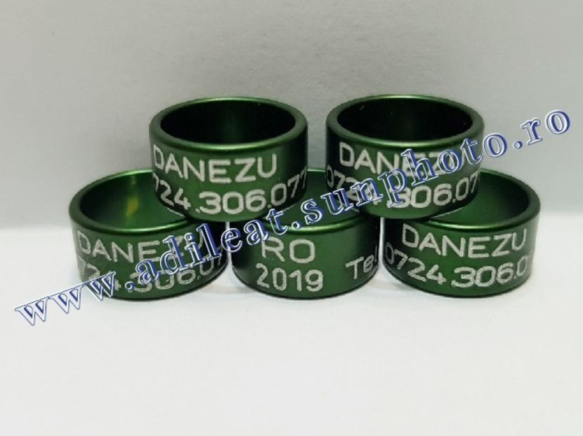  - 1-A-INELE PERSONALIZATE 2019