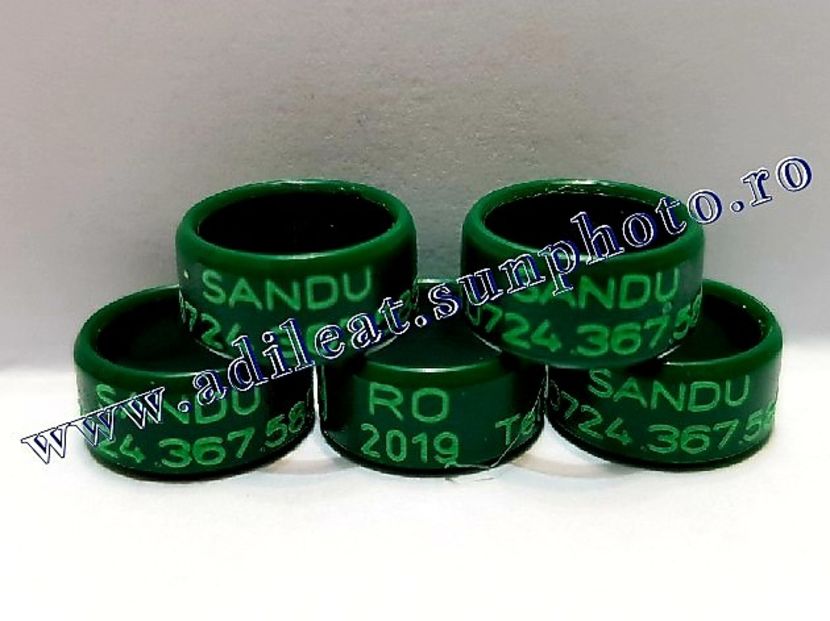  - 1-A-INELE PERSONALIZATE 2019