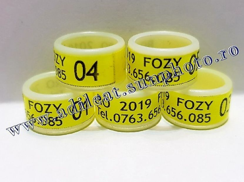  - 1-A-INELE PERSONALIZATE 2019