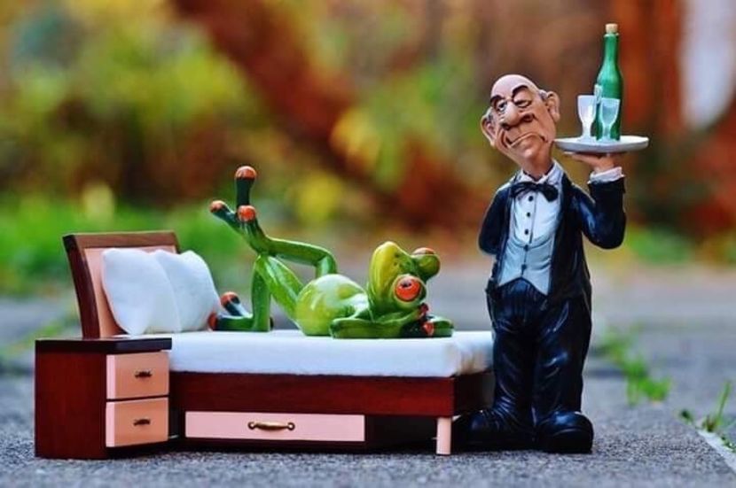 7CADF7EB-F95F-4913-BBA1-FAF7F2469755 - Diverse