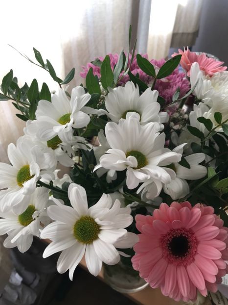 53237C87-BB1E-455A-A486-AD66BD33F94E - Diverse