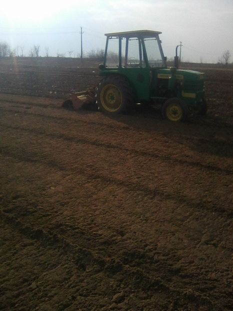 Photo1053 - legumicultura --ocupatia mea