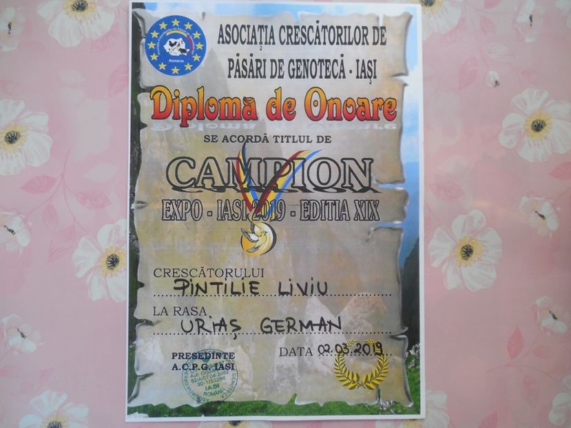  - PREMII OBTINUTE