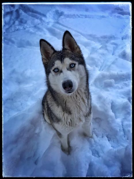 Eurovision 2018 - 2018 Eurovision Song Contest Part 13