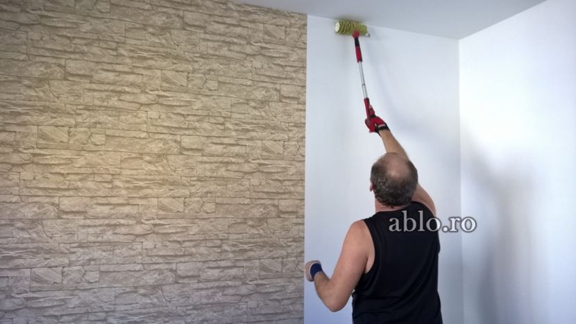 Montaj tapet Bucuresti, ablo.ro (117) - Montaj tapet Bucuresti - ABLO WEB SRL
