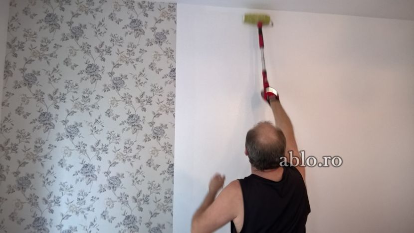 Montaj tapet Bucuresti, ablo.ro (132) - Montaj tapet Bucuresti - ABLO WEB SRL