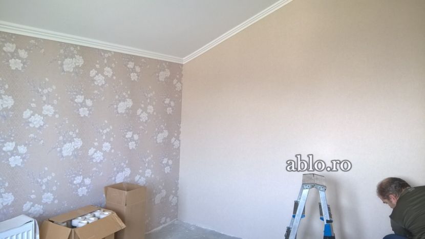 Montaj tapet Bucuresti, ablo.ro (141) - Montaj tapet Bucuresti - ABLO WEB SRL