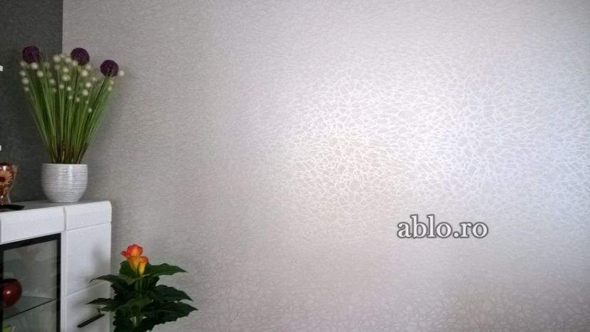 Montaj tapet Bucuresti, ablo.ro (182) - Montaj tapet Bucuresti - ABLO WEB SRL