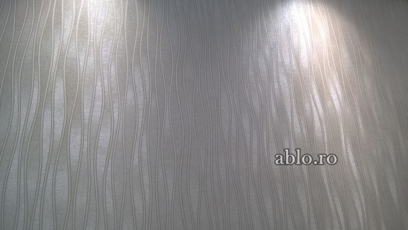 Montaj tapet Bucuresti, ablo.ro (248) - Montaj tapet Bucuresti - ABLO WEB SRL
