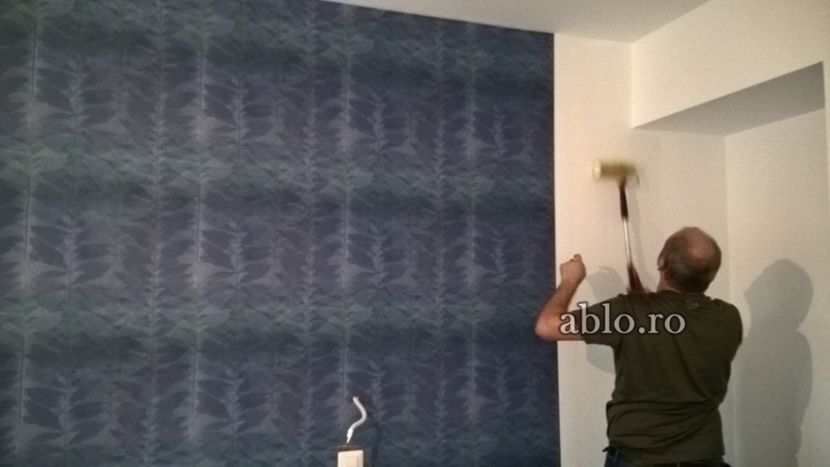 Montaj tapet Bucuresti, ablo.ro (400) - Montaj tapet Bucuresti - ABLO WEB SRL