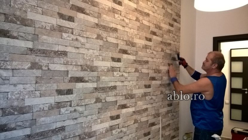 Montaj tapet Bucuresti, ablo.ro (428) - Montaj tapet Bucuresti - ABLO WEB SRL