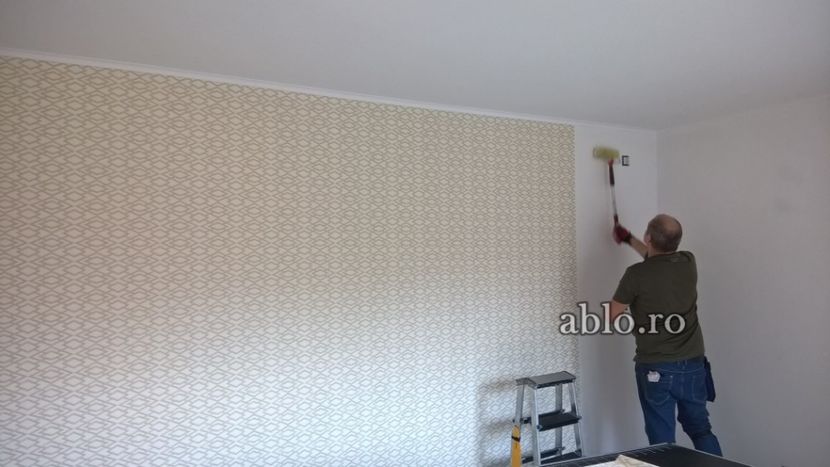 Montaj tapet Bucuresti, ablo.ro (452) - Montaj tapet Bucuresti - ABLO WEB SRL