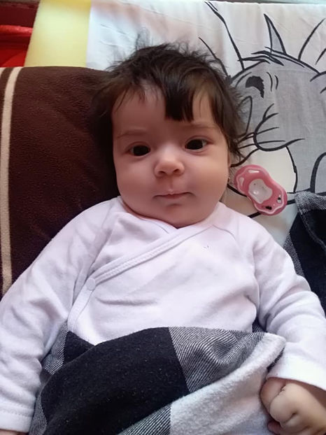 - 0000 DENISA