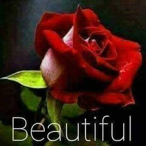 Cronica Carcotasilor - Cronica Carcotasilor Part 2