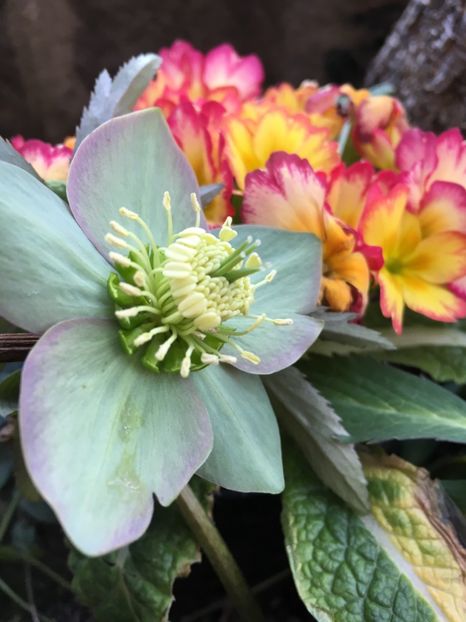 C0768C18-6591-4BBD-8E43-2D3FD6D48714 - Martie