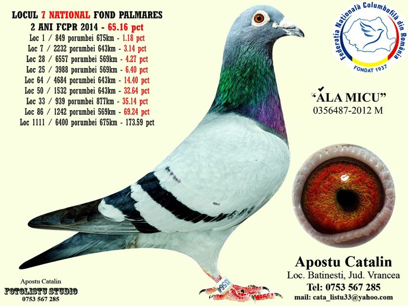 Ala micu  - Perechea 3