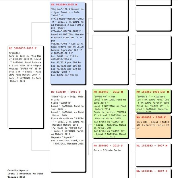argintia - Perechea 7