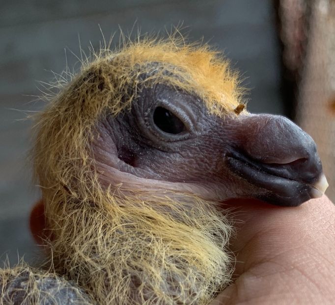 124B42F1-41FE-4402-9C85-56F00812FBB4 - Matca