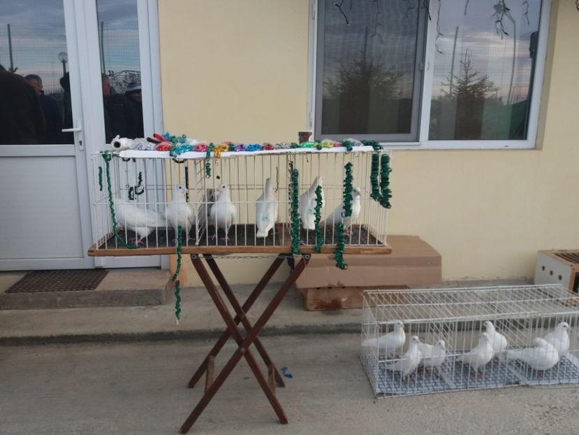  - Expozitia APOPE Prahoveana - Ploiesti 2019