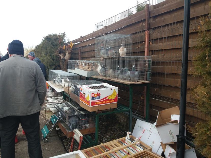  - Expozitia APOPE Prahoveana - Ploiesti 2019