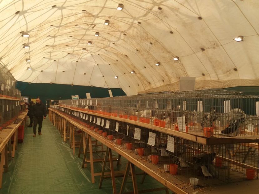  - Expozitia APOPE Prahoveana - Ploiesti 2019