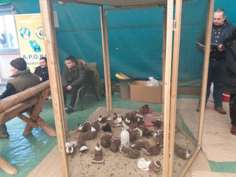  - Expozitia APOPE Prahoveana - Ploiesti 2019