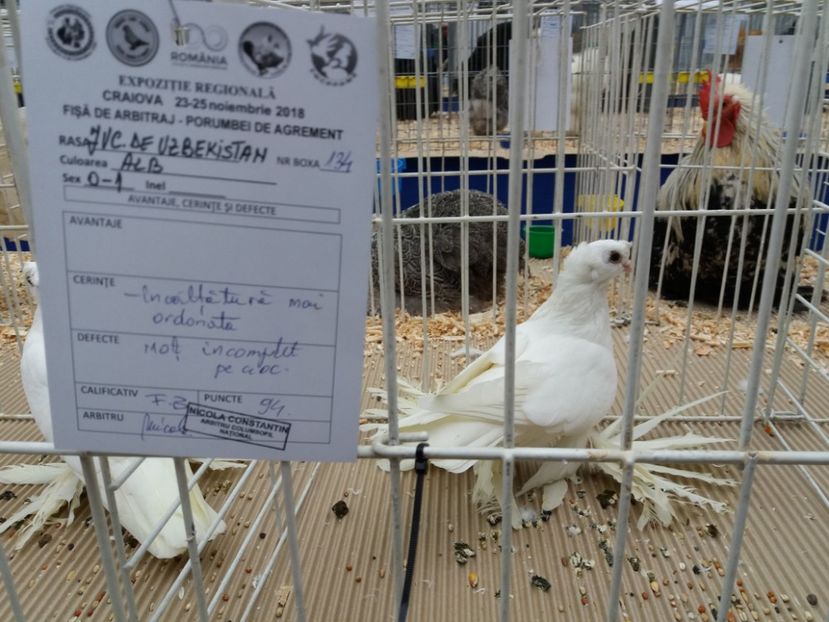  - Expo Craiova - Fauna Baniei 2018