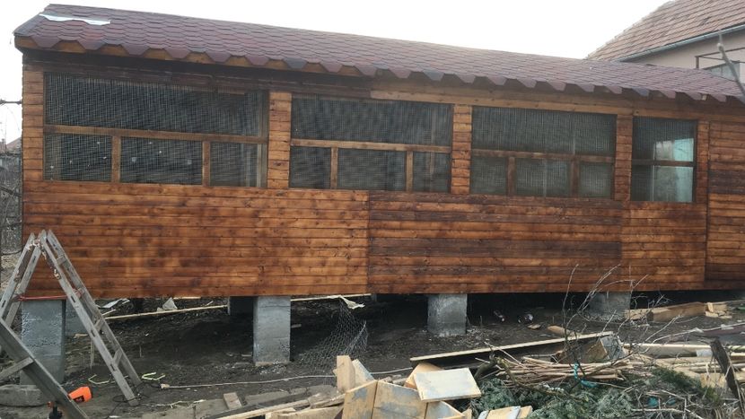 8641BFEA-2B2E-4268-9A12-822601CABD1F - Voliera